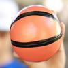 Ceiling Sport Indoor Mini Basketball & Hoop for Kids Toy Game Includes Basketball