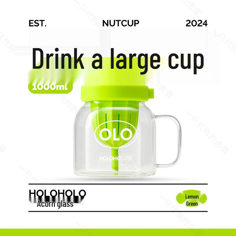 HOLOHOLO Glass Tea Infuser Straw Bottle 1000ml
