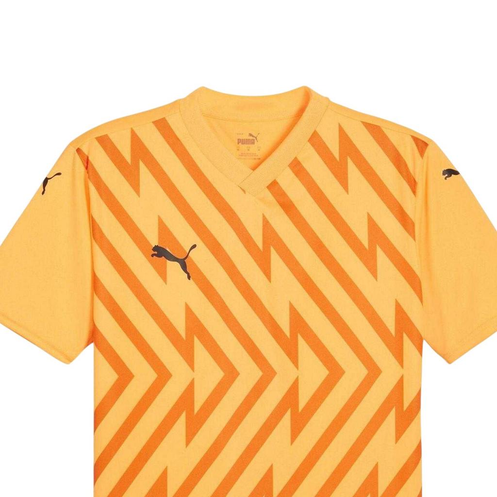 Puma Mens Teamglory Jersey T-Shirt