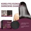 Polygonum Multiflorum Shampoo Bar - Darkening & Brightening Hair Soap for Strong Roots & Natural Black Color