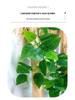 Rattan Air Conditioning Pipe Cover with Artificial Green Vines and Leaves