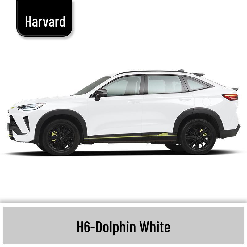 Haval H6 Cool Dog Touch-Up Pen, Black Spot & Ruixue White Scratch Repair Paint