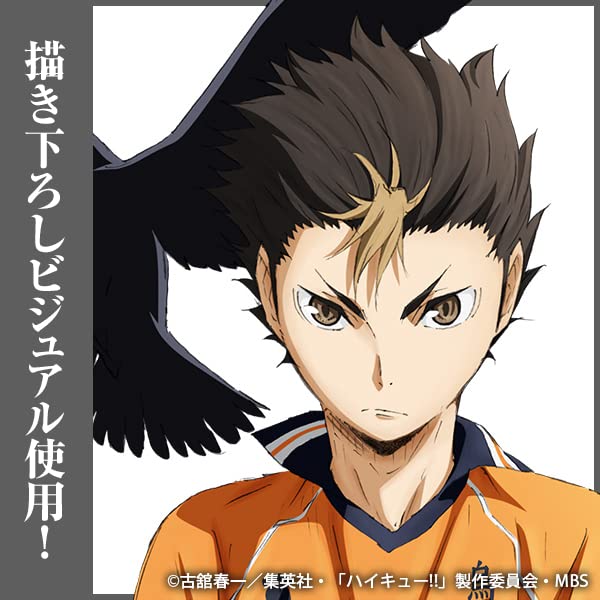 COSPA Nishinoya Yuu Acrylaufsteller 20 x 14 cm Haikyu!! (Groß) Ver.1.0