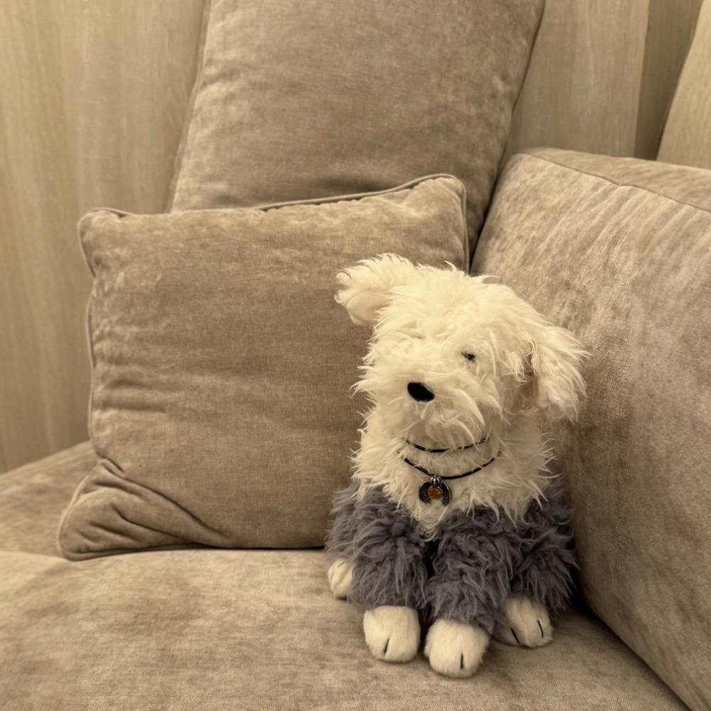 Britse Ewart Schaapshond Pluche Speelgoed Pop Schattige Gekrabbelde Puppy Pop Vrouwelijk Cadeau