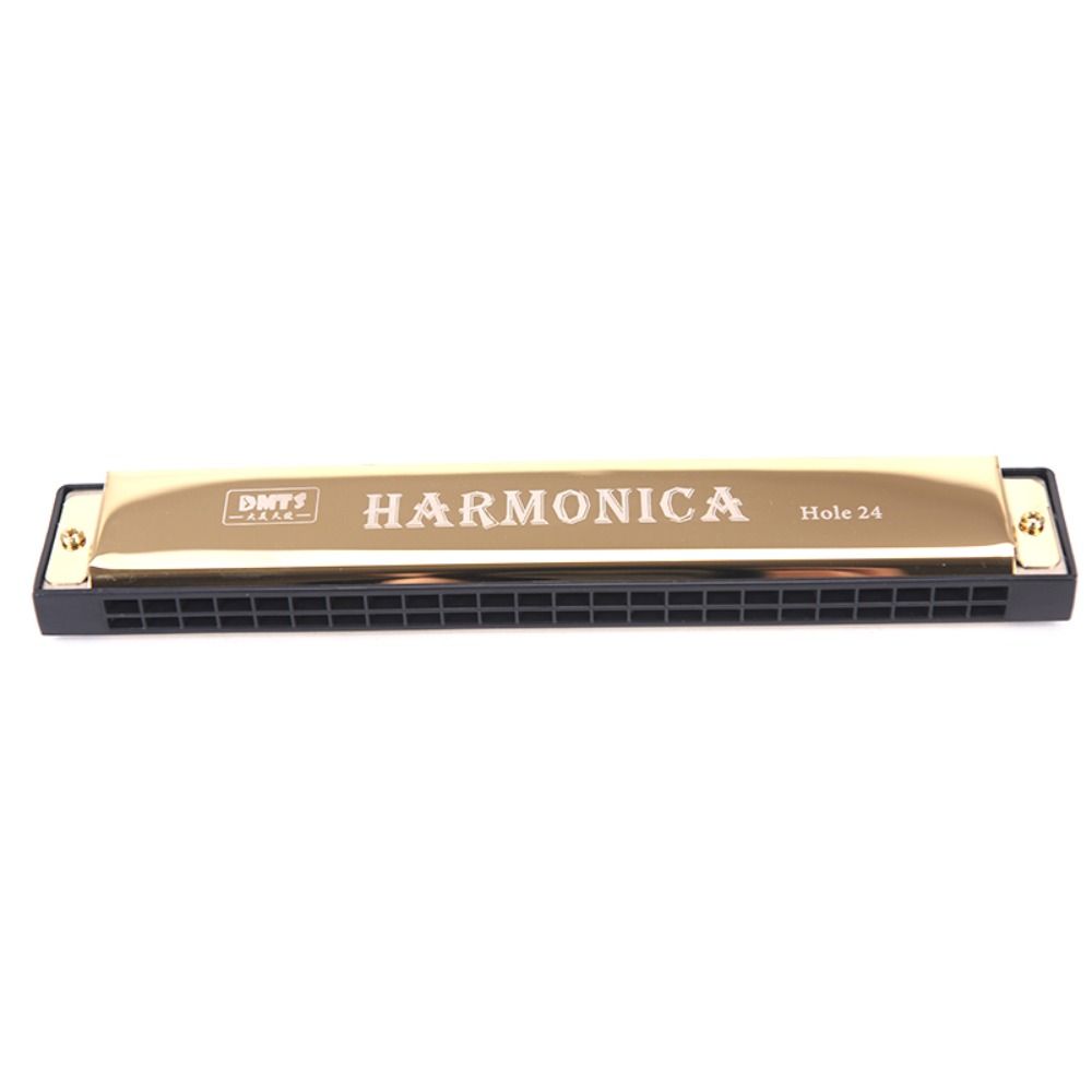 Tremolo Harmonica 24 Hole Harmonica Double Row Blues Harmonica C-key Harmonica Student