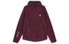 Sweatshirts Men's Nighttime Russet Hooded Moderate Regular FN0371-681