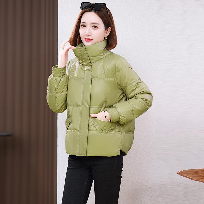 Women's 2024 Winter Korean Style Stand-Up Collar Plus Size Warm Down Jacket for Middle-Aged and Elderly