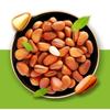 Xian Ji Large Open Pine Nuts