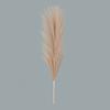 Pampas Grass Craft Bouquet Artificial Plants For Home Garden Landscape Layout Festival Wreath Accessory Wedding Daily Decor Reed