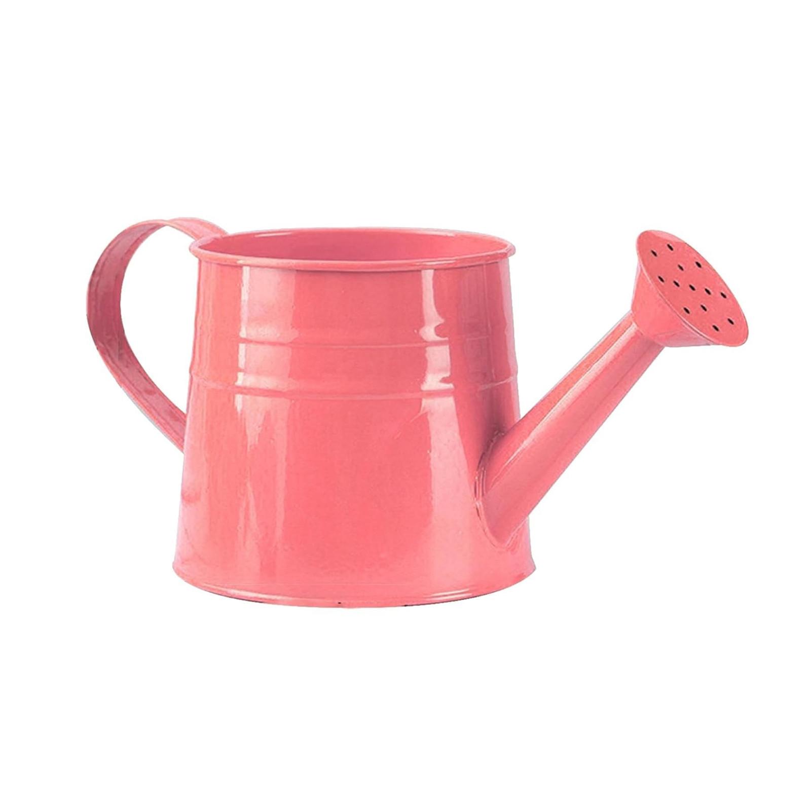 

1 шт. Металлическая лейка Садовая лейка для цветов Мини Маленький горшок для распыления воды Опрыскиватель Большой емкости для детей и взрослых розовый