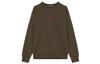 Sweatshirts Men's Olive Crew Neck Moderate Regular HV1750-366