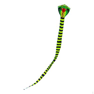 Serpent Kite for Newbies - Outdoor Adventure Present