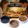 3 Peças de Tigelas de Água e Comida para Répteis, Copos Alimentadores de Minhocas Multifuncionais e Pratos de Água, Design Estável para Geckos e Dragões Barbudos