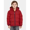 Alaska Winter Jacket