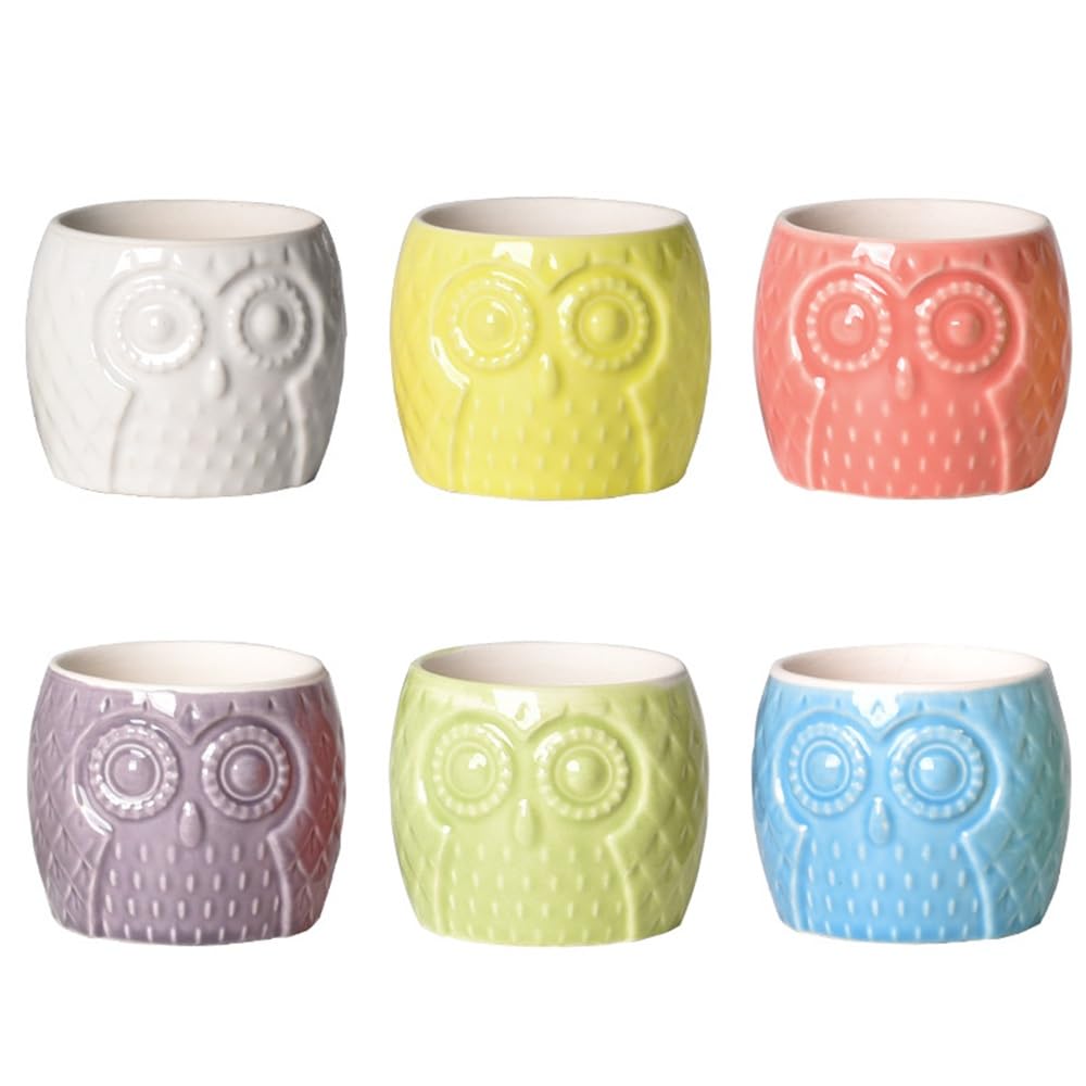 

DIFEIUKI Succulent Plant Pots, Set of 6, Ceramic Planters, Small Planters, Window Ornaments, Cute Owl Shape, Bonsai, HomeOfficeDeskShelfGarden Decor,