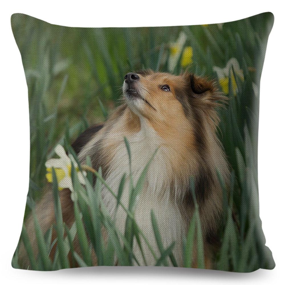 Shetland Sheepdog Cute Pet Animal Dog Printed Pillowcase Decor Cushion Cover for Sofa Home Car Polyester Pillow Case 45*45cm