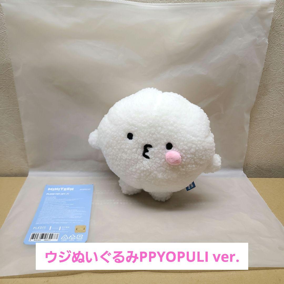 

[USED] MINITEEN Woozi Plush Toy Byopuri Mini Teen