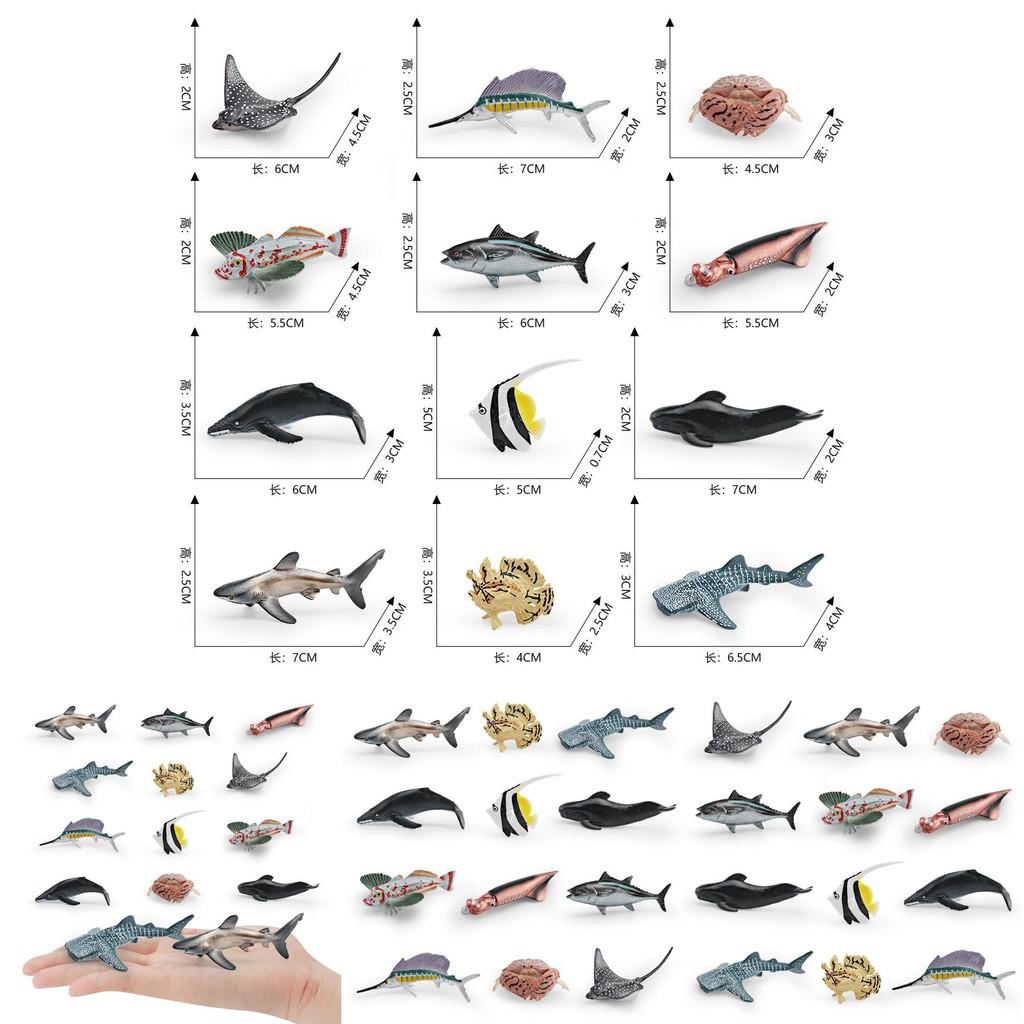 Simulated Deep Sea Ray Crab Squid Killer Whale Shark Model Desktop Ornament Set For Childrens Educational Playroom Decor