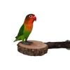 Perchoir en Bois Naturel pour Perroquet Support Fiable Jouets d'Entraînement pour Se Tenir Debout Accessoires de Cage Fournitures pour Oiseaux