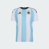 adidas Argentina National Team World Cup Home Football Jersey