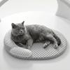 colore grigio chiaro