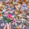 20PCS DIY PET Stickers Transparent DIY Book Marks High Quality Homemade Plant Specimens  Students