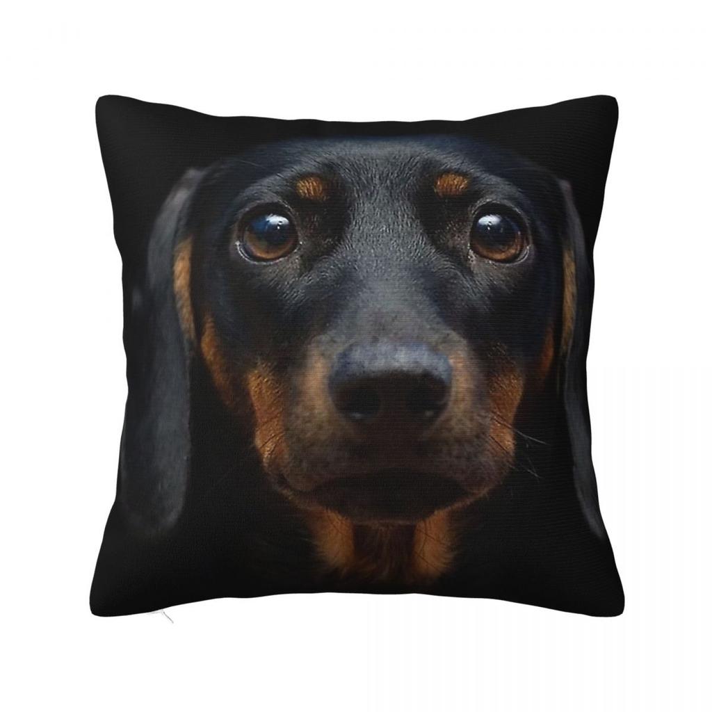 Dachshund Pillow Cases Gift for Animal Dog Lover Cushion Covers Awesome Polyester Decorative Pillowcase for Home 18x18