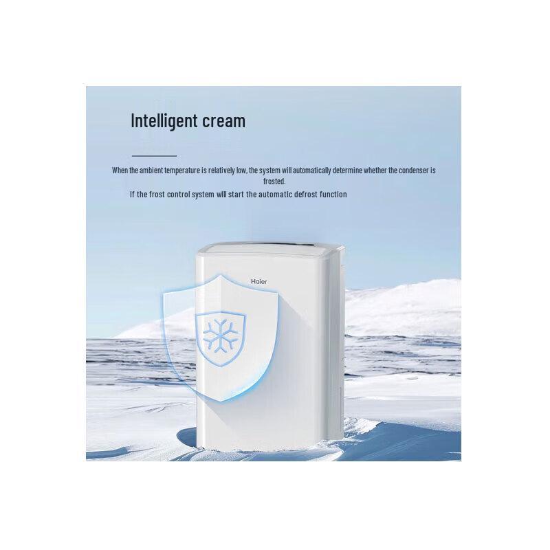 Haier CF60-HAE 60L Home Dehumidifier & Clothes Dryer CN plug (adapter included)
