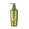 Schwarzkopf Ginger Essence Anti-Dandruff Hair Care Set