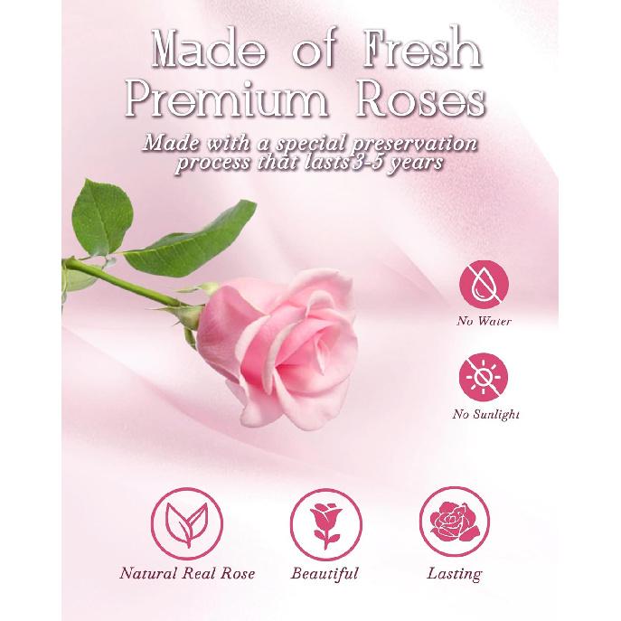 HVY Preserved Flowers Gifts for Her,Preserved Rose Bouquet In Glass Dome,Forever Flowers Fresh Bouquet Present for Women Mothers Day Birthday Gifts