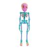 Poseable Magnetic Skeleton Figurine with Movable Joints Halloween Skeleton Fridge Magnets for Refrigerator Cabinet