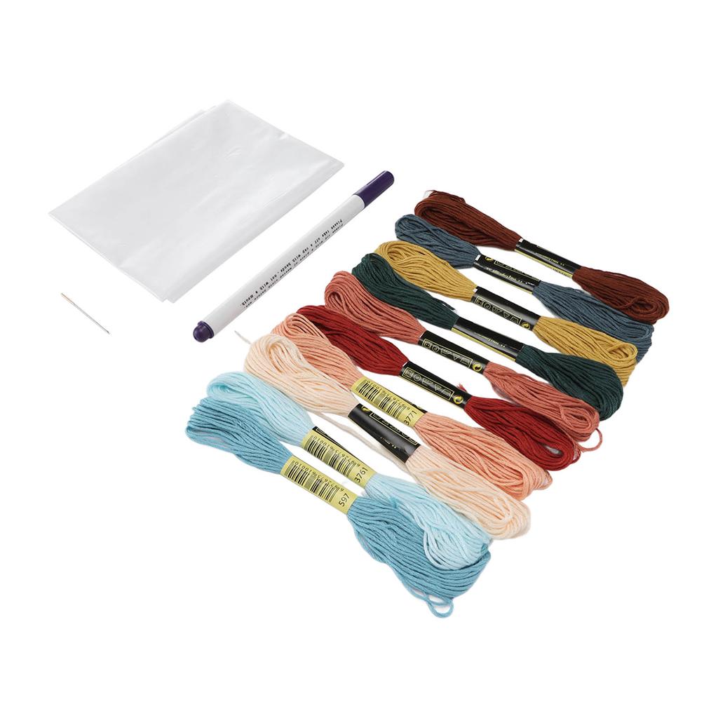 Embroidery Floss Kits 10 Bright Colors Good Toughness Easily Use Embroidery Thread for Bracelets Tassels DIY