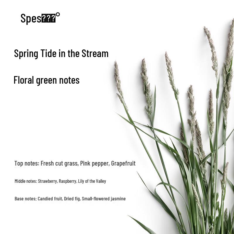 Spes Protein Smoothing Conditioner with Sea Salt Oil Control Shampoo Set