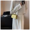 Fashion Crocodile Pattern Mini Crossbody Bag for Women Metallic Chain Shoulder Bag PU Leather Small Flap Purse Party Evening Handbag