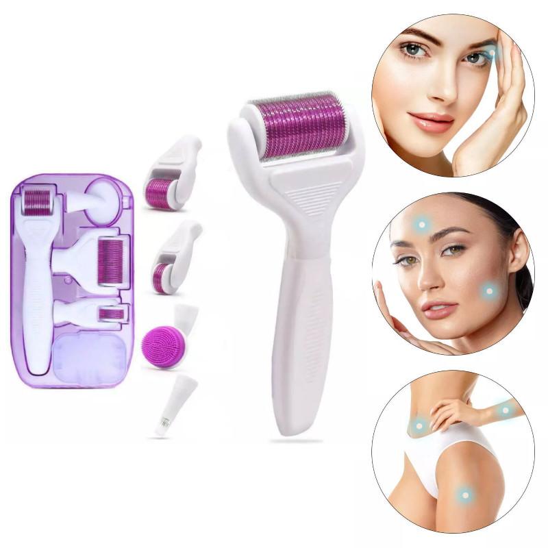 Roller 6 Derma In 1 Titanium Micro Needle Anti Ageing Facial Skin Care Tool Set
