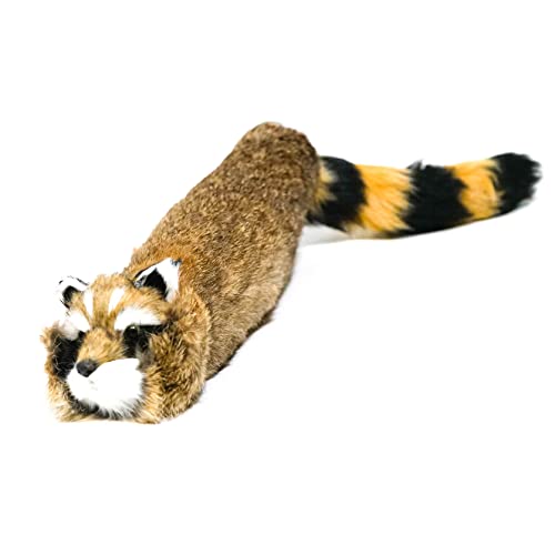 Raccoon Magic Trick Lucky-kun Tanuki Spring Pet Maggie Magic Trick Cute Animal Raccoon Plush Toy