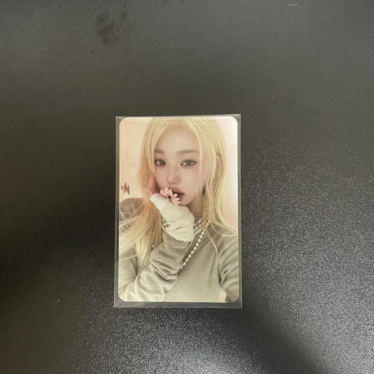 

I Sell Wonyoung Photo Cards