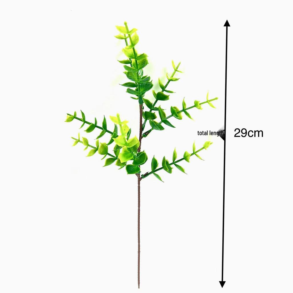 Nordic DIY Eucalyptus Branch for Wedding Decor