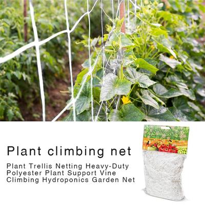 Plant Climbing Net For Morning Glory Vine Flowers Garden Plants Climbing Net Mesh Loofah Netting Cucumber Vine Grow Holder