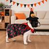 Dog Halloween Outfit 1 Set Pet Costume Spider Pumpkin Wizard Hat And Medium Costume Double-Sided Bat Print Cape Holiday Party for Cats Dogs