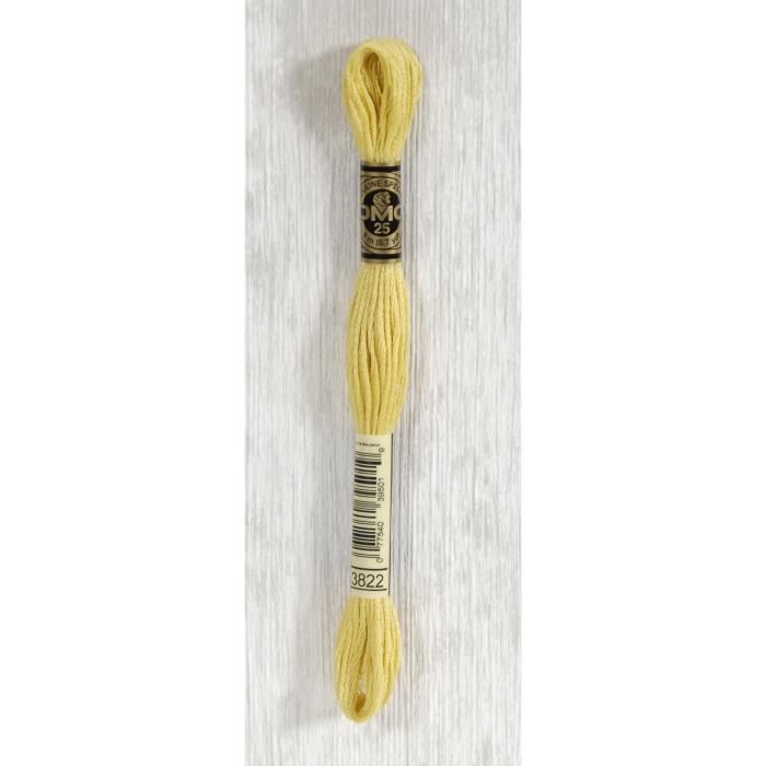 DMC Fil Mouliné 3822