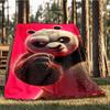 1 szt. Koc flanelowy Kung Fu Panda na zewnątrz, Miękki,
