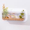 Wall Hanging Aquariums Tanks Office Wall Fish Tanks Wall Mounted Fish Bowl for Modern Home Decoration