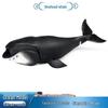 Marine Animal Model Toys: Bowhead Whale, Sperm Whale, Shark Figurines for Early Education