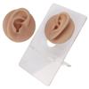 Ear Model Soft Silicone High Simulation Clear Structure Human Ear Model for Piercing Practice Dark