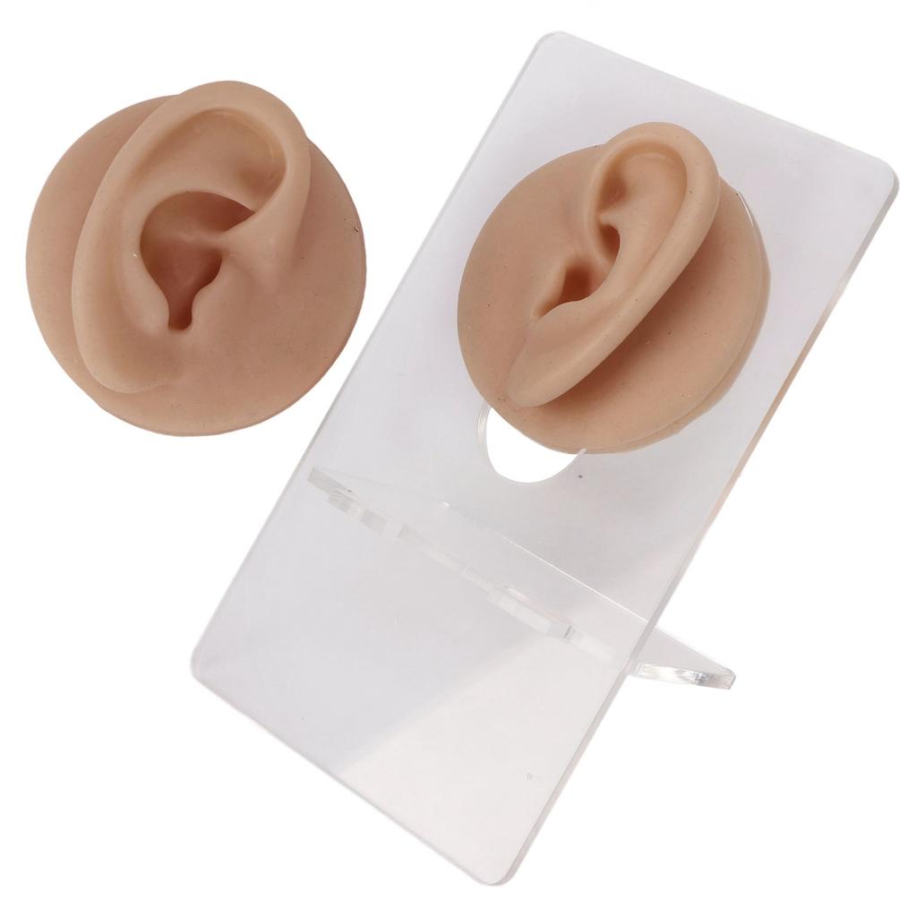 Ear Model Soft Silicone High Simulation Clear Structure Human Ear Model for Piercing Practice Dark