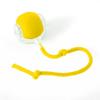 Automatic Rolling Cat Ball Toy with LED Light & Tail Rope, Interactive Play for Pets