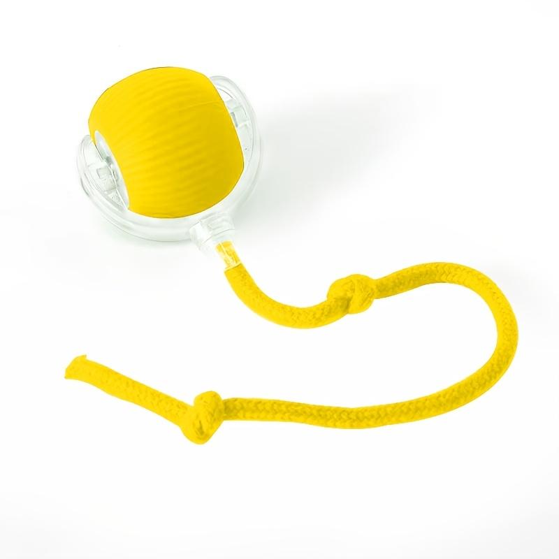 Automatic Rolling Cat Ball Toy with LED Light & Tail Rope, Interactive Play for Pets