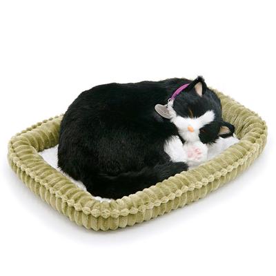 Ninian and Kino Perfect Pet Calico Cat Plush Perfect Cute Cat Stuffed Animal (Small) Toy, Realistic, Lifelike, Animal, Soothing, Moving, Gift,