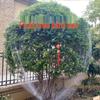 ציוד לגינה – הדברה לגינה